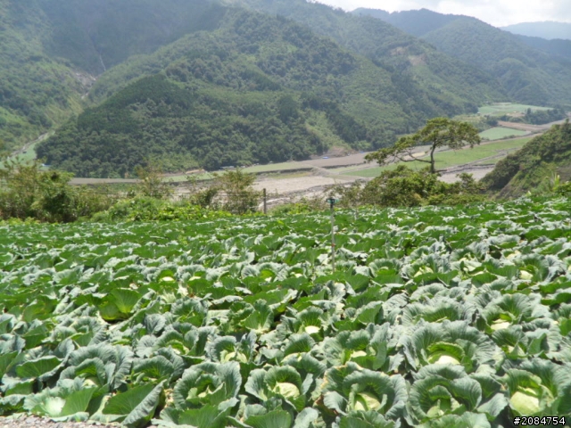 她,就是省道一姐!張拉拉環島初體驗。