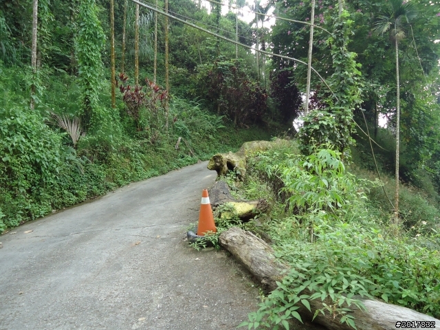 10/22南瀛巡旅之梅嶺(梅峰古道武龍殿步道)