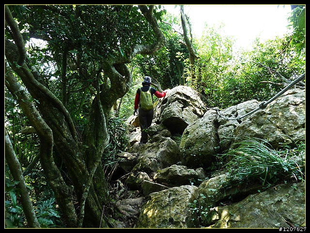 2011.10.20_載女王回家順逛南化-龍麟山步道!