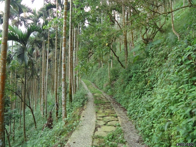 10/22南瀛巡旅之梅嶺(梅峰古道武龍殿步道)
