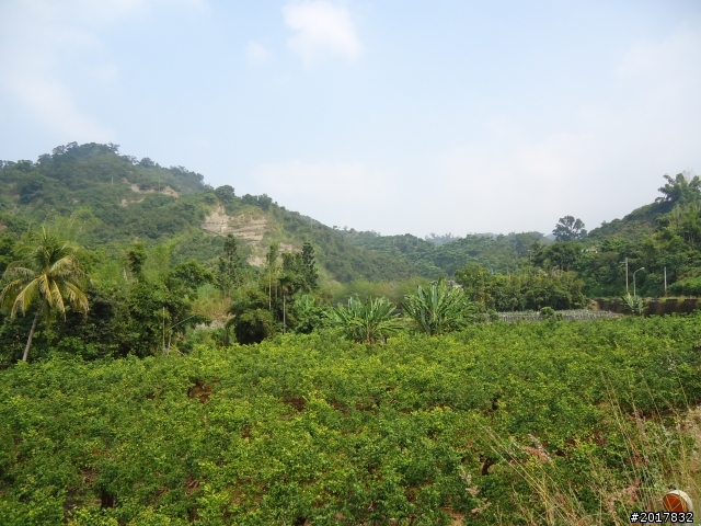 10/22南瀛巡旅之梅嶺(梅峰古道武龍殿步道)