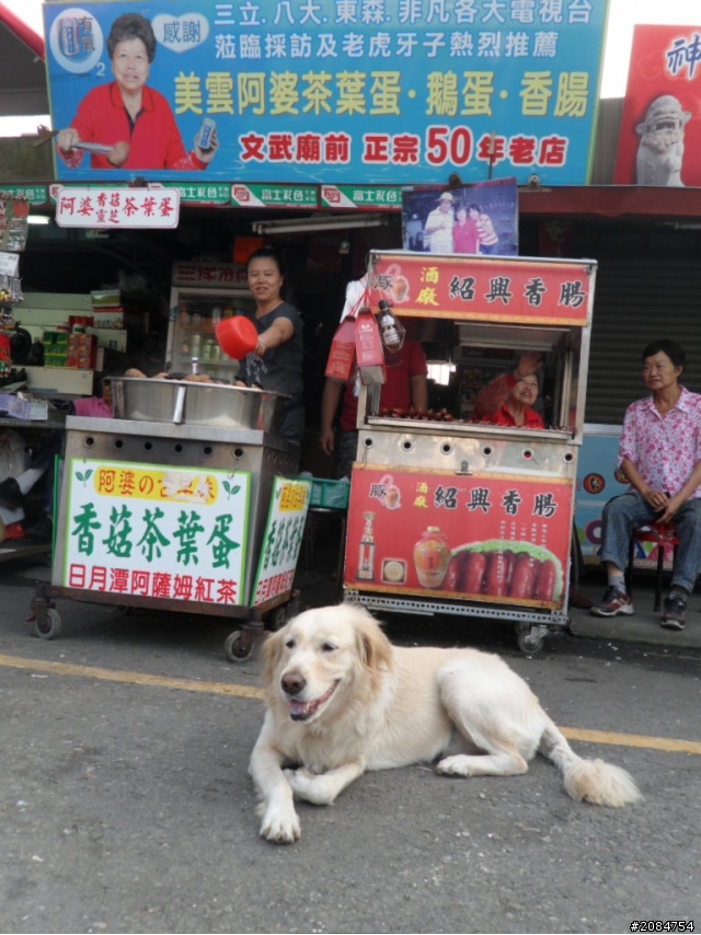 她,就是省道一姐!張拉拉環島初體驗。