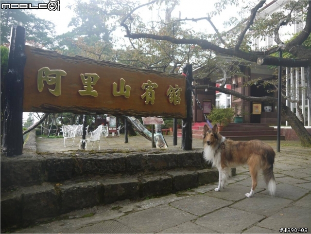 2011九月的 阿里山之行and FOCUS上下坡油耗討論