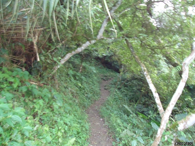 10/22南瀛巡旅之梅嶺(梅峰古道武龍殿步道)