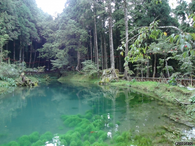 10/14戀戀阿里山--鄒族聖山塔山之巔