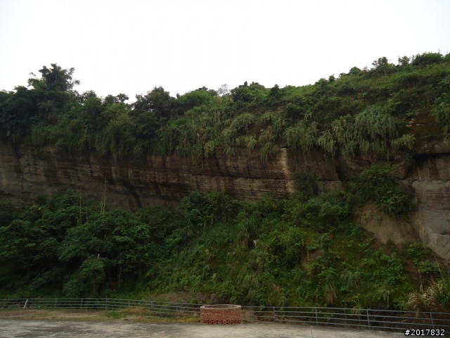 10/22南瀛巡旅之梅嶺(梅峰古道武龍殿步道)