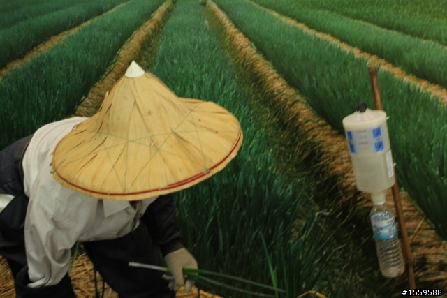 說走就走 Rouge的親水地熱小冒險