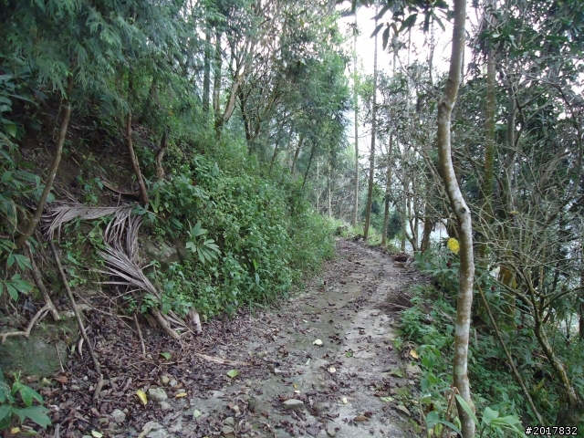 10/22南瀛巡旅之梅嶺(梅峰古道武龍殿步道)