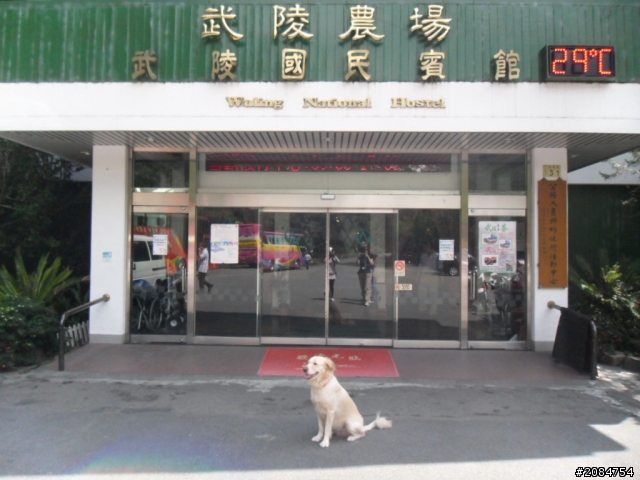 她,就是省道一姐!張拉拉環島初體驗。