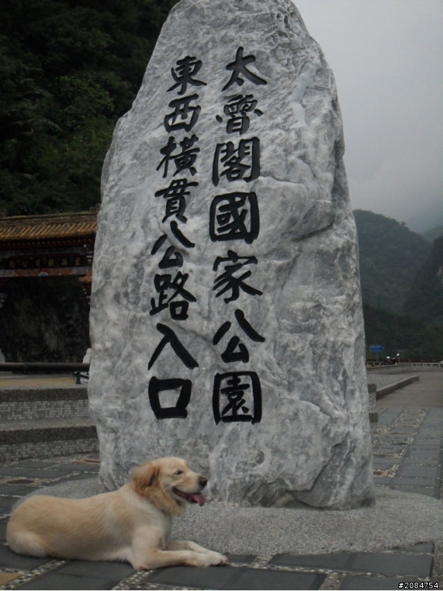 她,就是省道一姐!張拉拉環島初體驗。