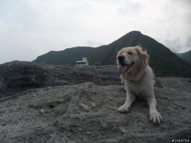 她,就是省道一姐!張拉拉環島初體驗。