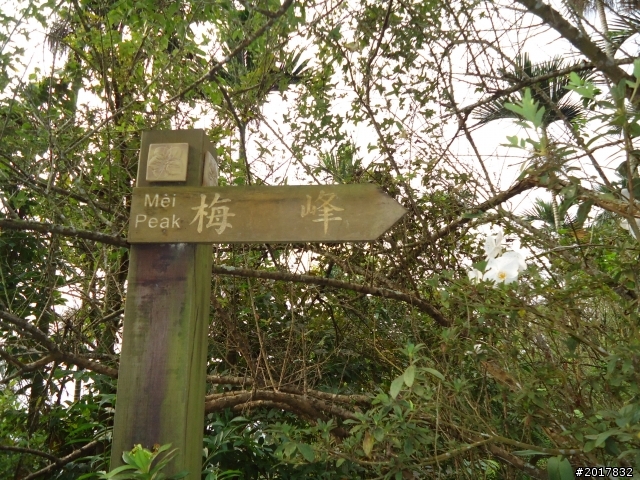10/22南瀛巡旅之梅嶺(梅峰古道武龍殿步道)