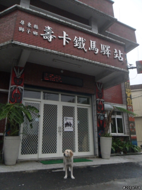 她,就是省道一姐!張拉拉環島初體驗。