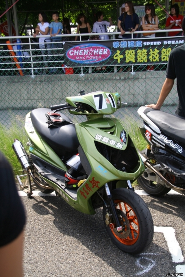 一整排天鵝也太帥氣!!!!