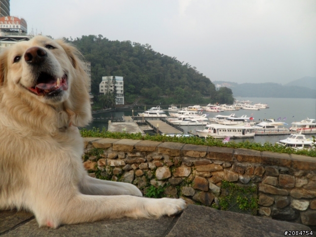 她,就是省道一姐!張拉拉環島初體驗。