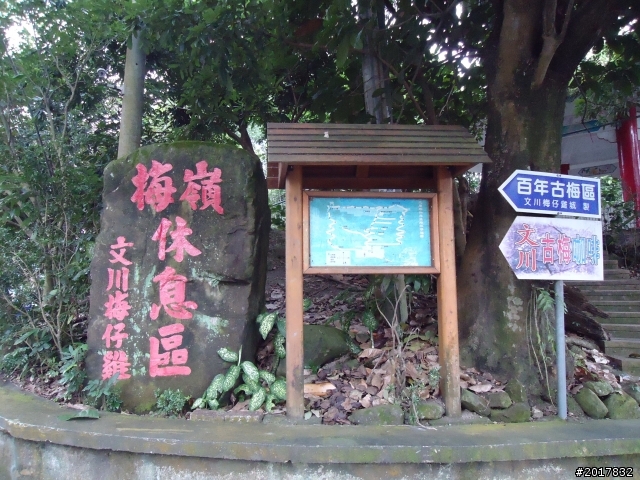 10/22南瀛巡旅之梅嶺(梅峰古道武龍殿步道)