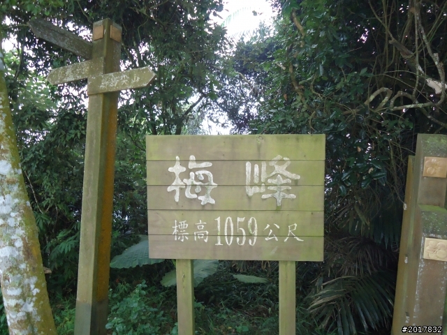 10/22南瀛巡旅之梅嶺(梅峰古道武龍殿步道)