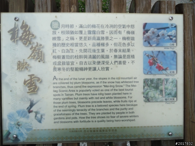 10/22南瀛巡旅之梅嶺(梅峰古道武龍殿步道)