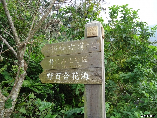 10/22南瀛巡旅之梅嶺(梅峰古道武龍殿步道)