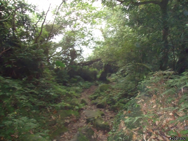 10/22南瀛巡旅之梅嶺(梅峰古道武龍殿步道)