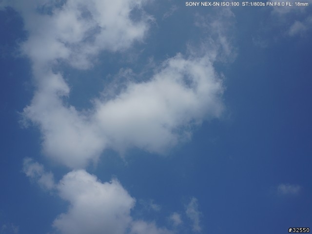 慢很大的 Sony NEX-5N 開箱,小野人背帶上身!