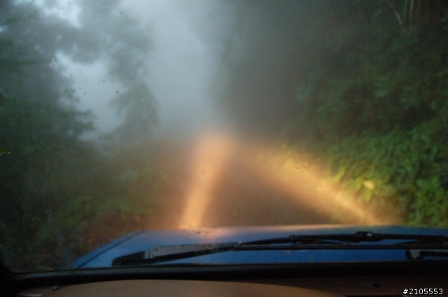 我和我的堅毅挺拔老瑞獅!!