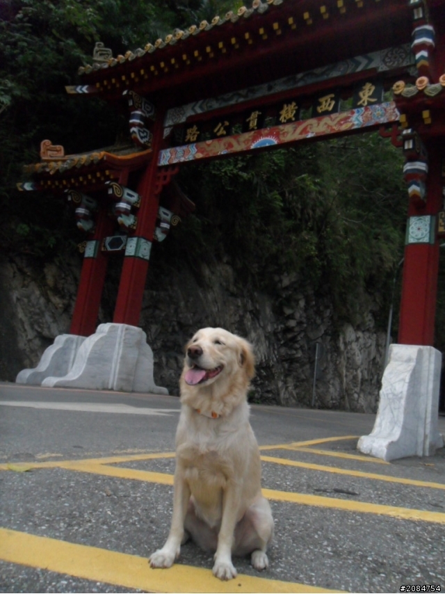 她,就是省道一姐!張拉拉環島初體驗。