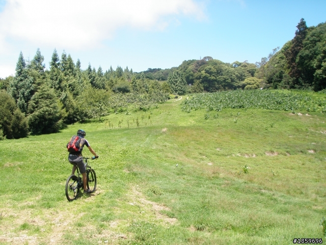 OFF ROAD 林道遊記分享~!! 把你去過的的台灣林道分享一下吧~!! 你愛林道嗎~??