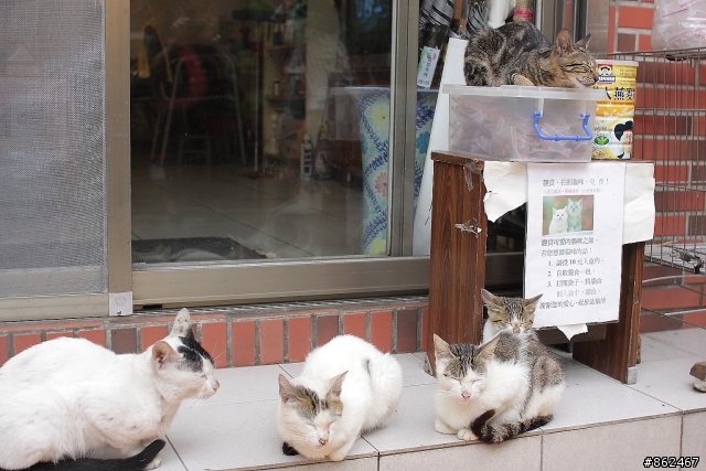 2011.09.24~30環島之旅(圖少文少= =!)