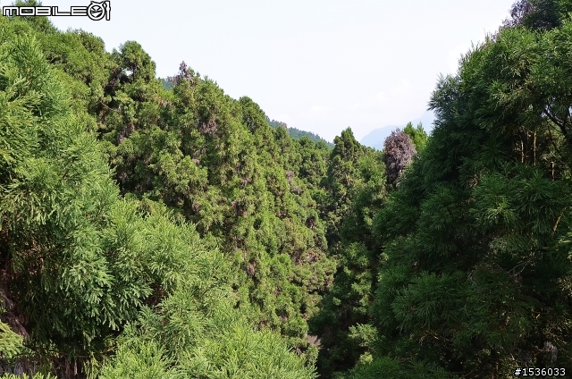 開著Luxgen SUV到溪頭找妖怪、彰化樂活正妹老師的襪子DIY、西螺買醬油逛老街。