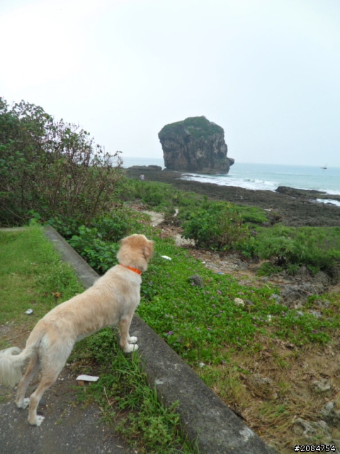 她,就是省道一姐!張拉拉環島初體驗。