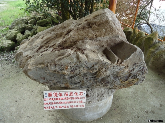 10/22南瀛巡旅之梅嶺(梅峰古道武龍殿步道)