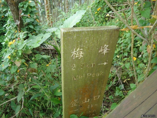 10/22南瀛巡旅之梅嶺(梅峰古道武龍殿步道)