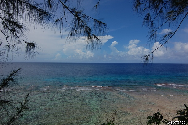 ( 照片來囉)""可樂旅遊""安排的蜜月長灘島 / 關島的""不開心""回憶
