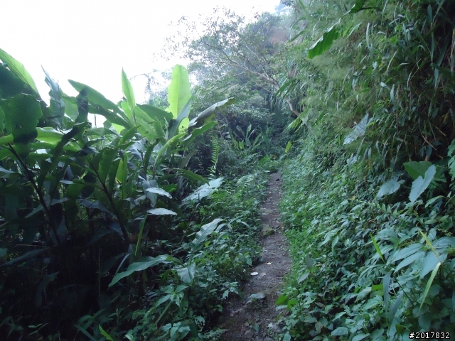 10/22南瀛巡旅之梅嶺(梅峰古道武龍殿步道)