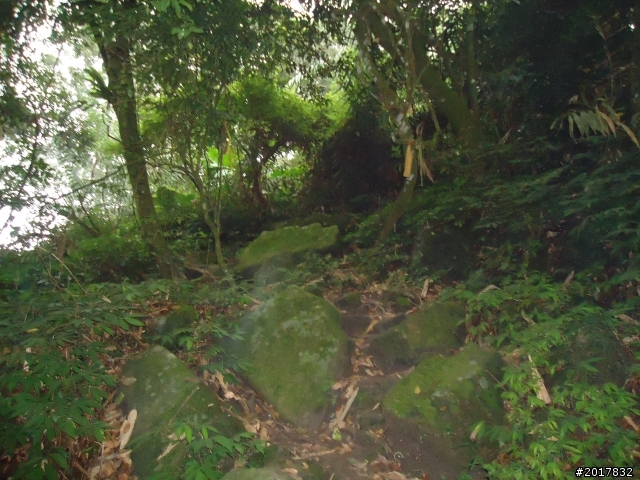 10/22南瀛巡旅之梅嶺(梅峰古道武龍殿步道)
