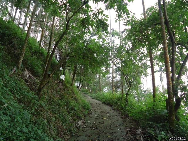10/22南瀛巡旅之梅嶺(梅峰古道武龍殿步道)