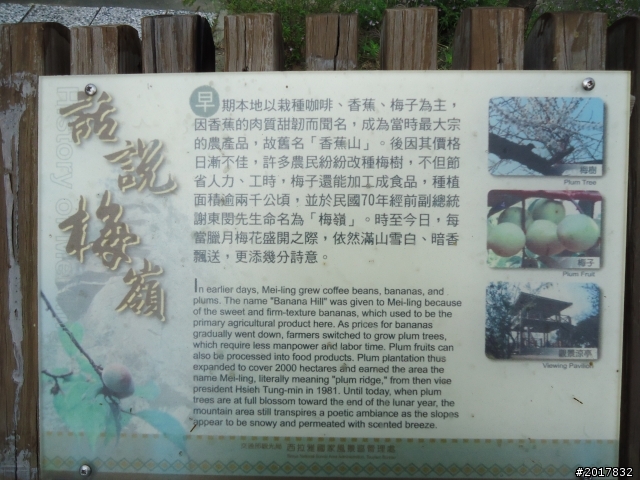 10/22南瀛巡旅之梅嶺(梅峰古道武龍殿步道)