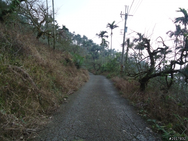 10/22南瀛巡旅之梅嶺(梅峰古道武龍殿步道)