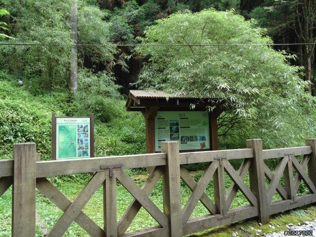 10/14戀戀阿里山--鄒族聖山塔山之巔