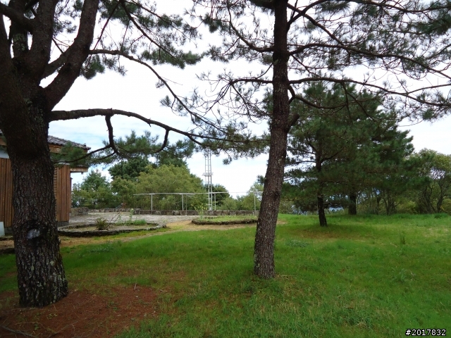 10/8塔塔加朝聖之旅(前進鹿林山麟趾山)