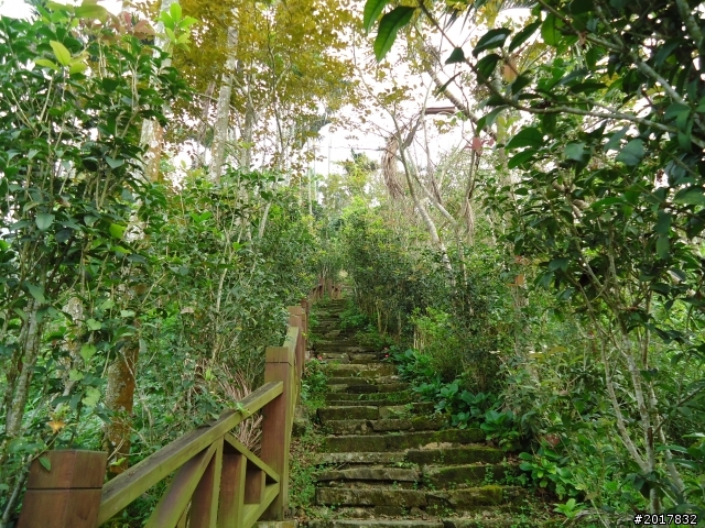 10/22南瀛巡旅之梅嶺(梅峰古道武龍殿步道)