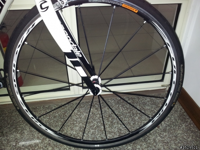 分享~新駒CANNONDALE CAAD10
