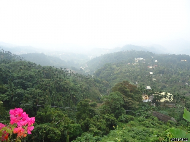 10/22南瀛巡旅之梅嶺(梅峰古道武龍殿步道)