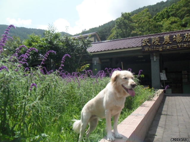 她,就是省道一姐!張拉拉環島初體驗。