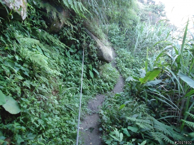 10/22南瀛巡旅之梅嶺(梅峰古道武龍殿步道)