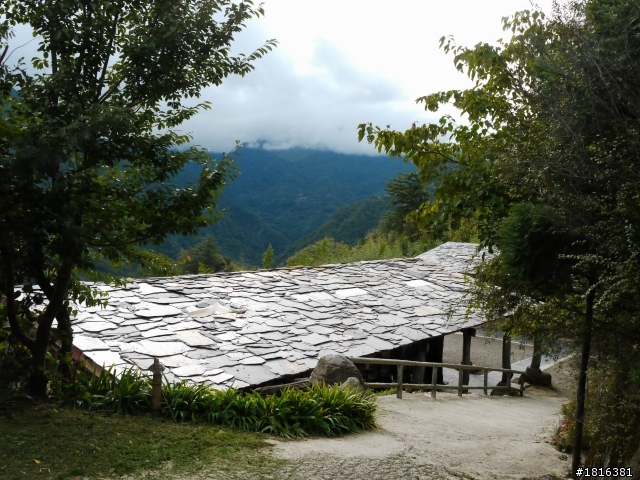 司馬庫斯攻略..一個MOVE如果沒有HOLD住就準備去見上帝 (帳單出現了)