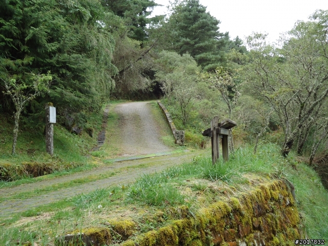 10/8塔塔加朝聖之旅(前進鹿林山麟趾山)