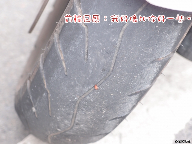 【勁戰騎士俱樂部】久違了,武嶺。