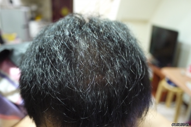 我的長毛日記........